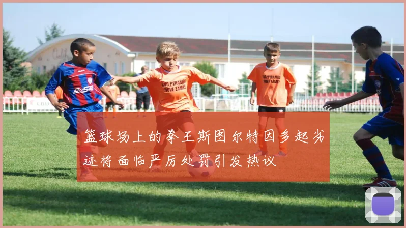 篮球场上的拳王斯图尔特因多起劣迹将面临严厉处罚引发热议