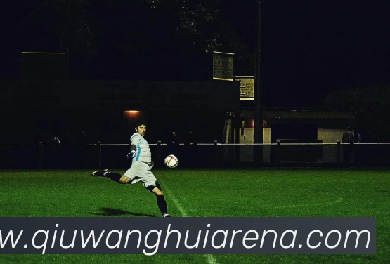 球王会平台生态图